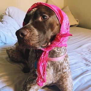 Paisley scarf